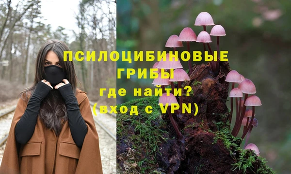 твердый Армянск